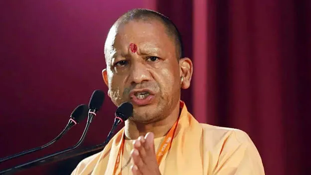 yogi