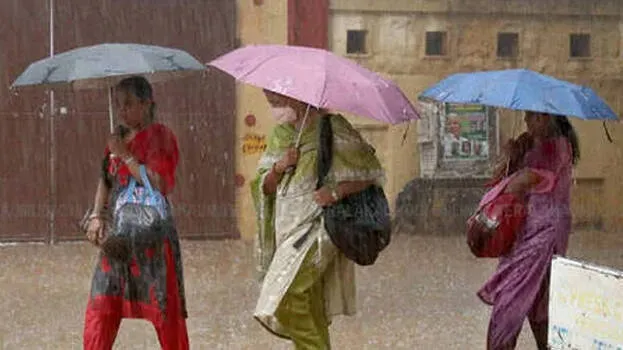 rain