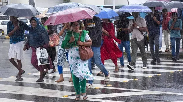rain-alert