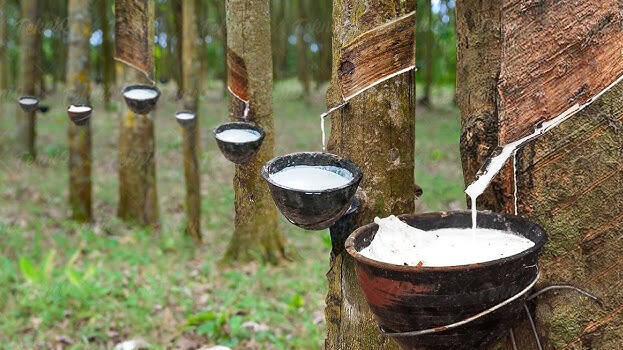 agriculture agriculture