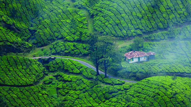 munnar munnar