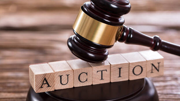 auction auction