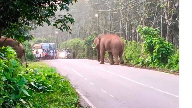 27-kattana 27-kattana