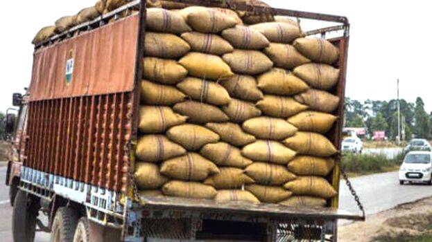 rice-truck rice-truck