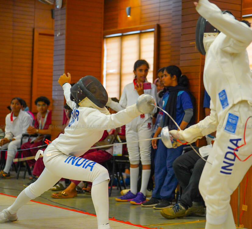 fencing-4 fencing-4