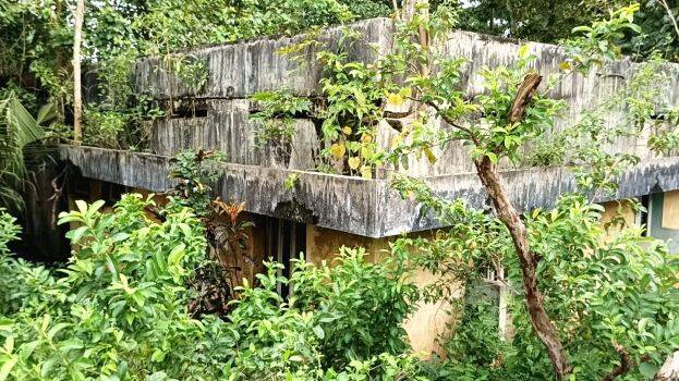 kadu-kayariya-office kadu-kayariya-office