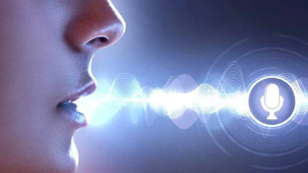 voice