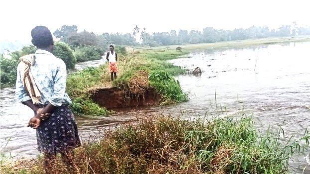 madaveezhcha madaveezhcha