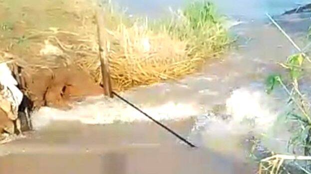 mataveezhcha mataveezhcha