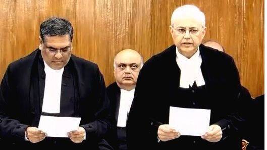 judge