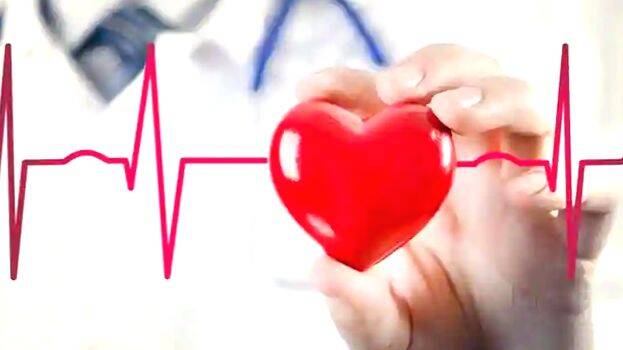 heart