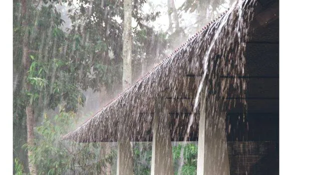 rain