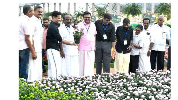 flower-show flower-show