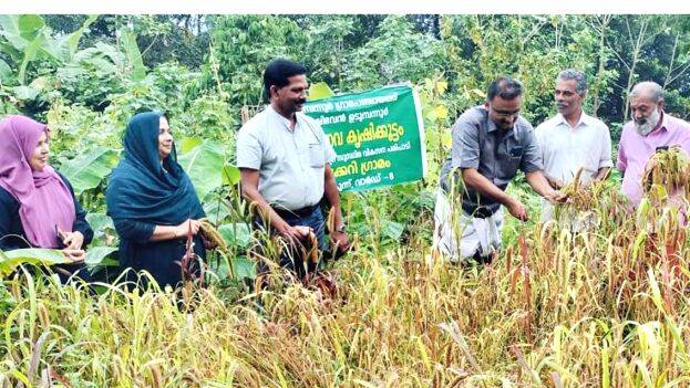 vilaveduppu vilaveduppu