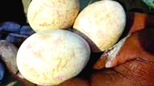 superstition superstition