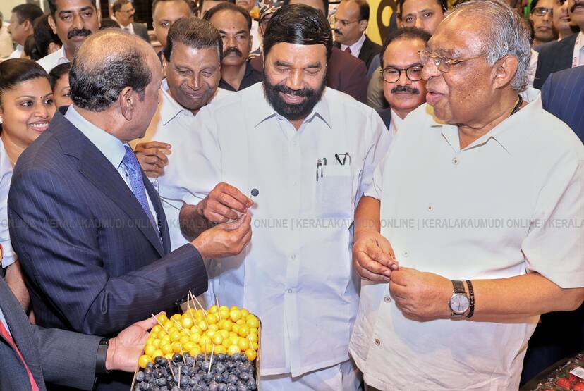 lulu-taste- lulu-taste-