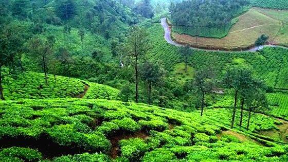 vagamon vagamon
