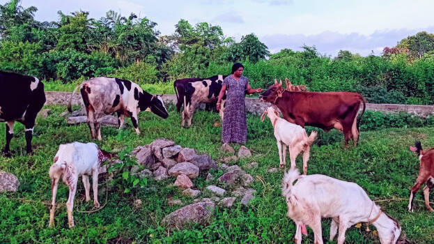 sravathika sravathika