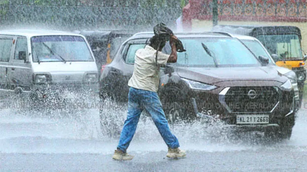rain