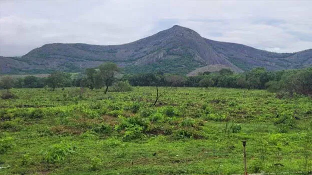 chathankulangara-devi-tem