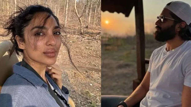 jungle-safari jungle-safari