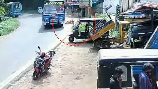 bus