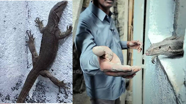 vava-suresh vava-suresh