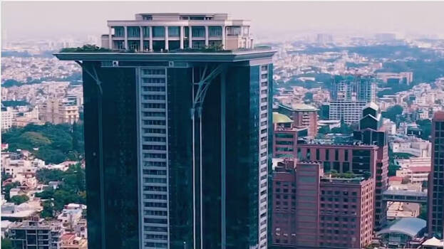 kingfisher- kingfisher-