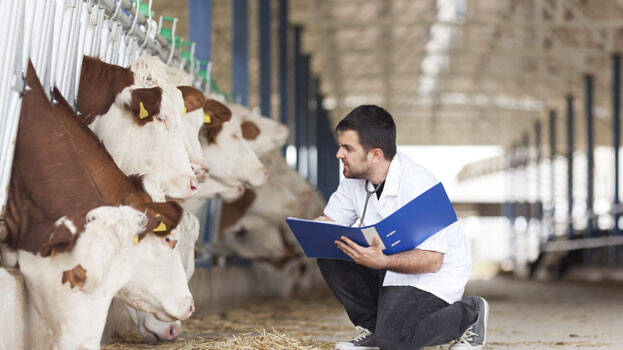 veterinary veterinary