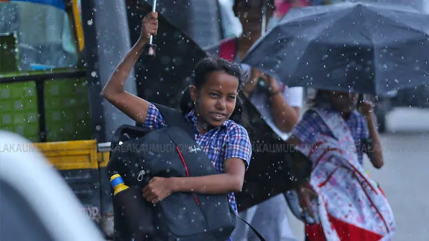 rain