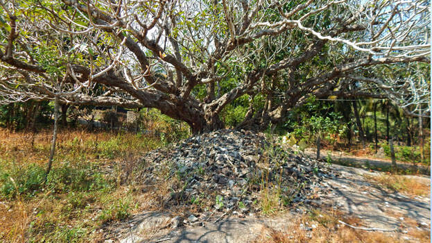 ayyappa-muthan ayyappa-muthan