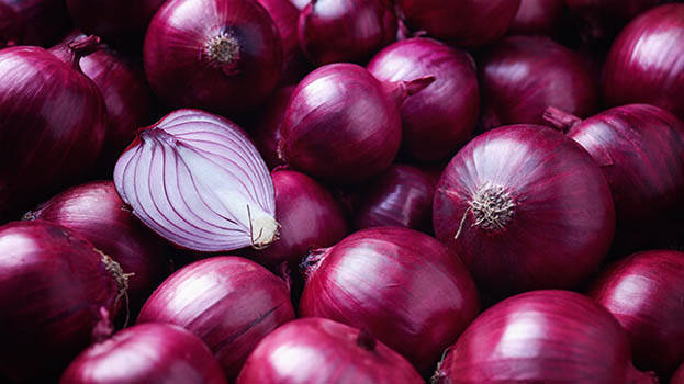 onion onion