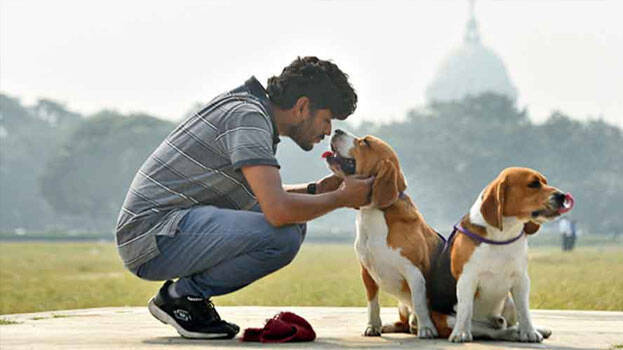 pet-parents pet-parents