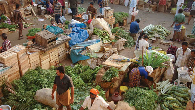 agriculture agriculture