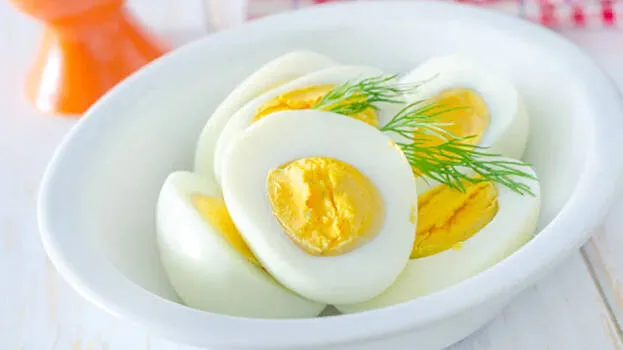 egg-