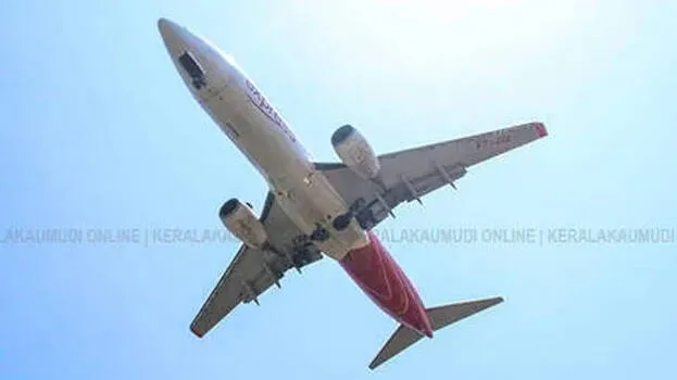 flight
