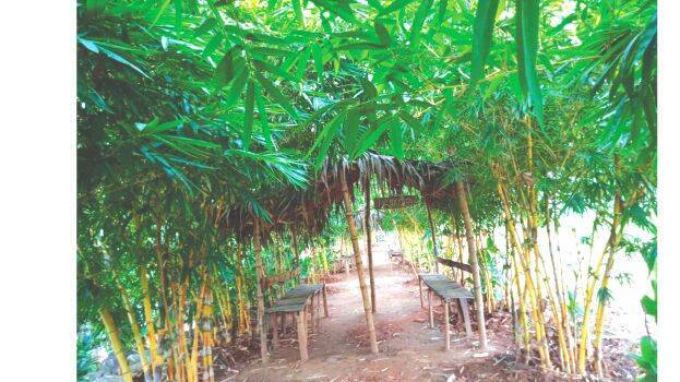 pachathuruthu pachathuruthu