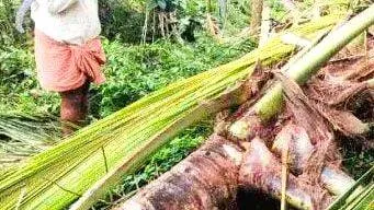 agri agri