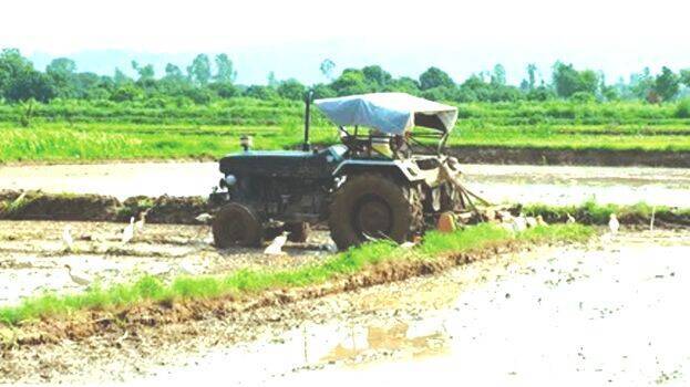 tractor tractor