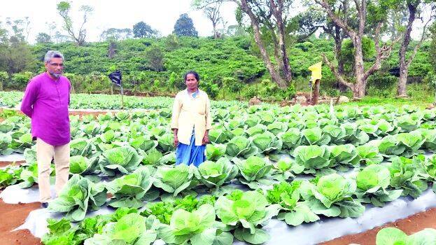 nelliyambathi nelliyambathi