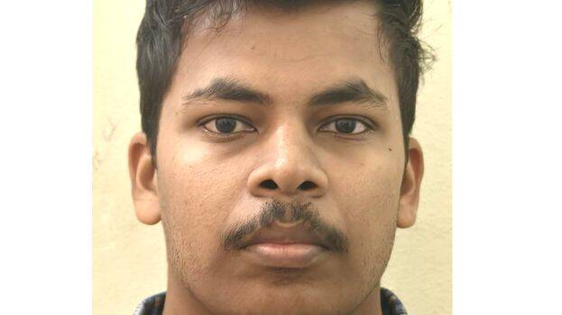 salamanul-farees salamanul-farees