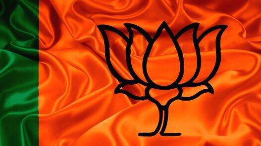 bjp bjp