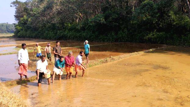 31-mavara-padam 31-mavara-padam