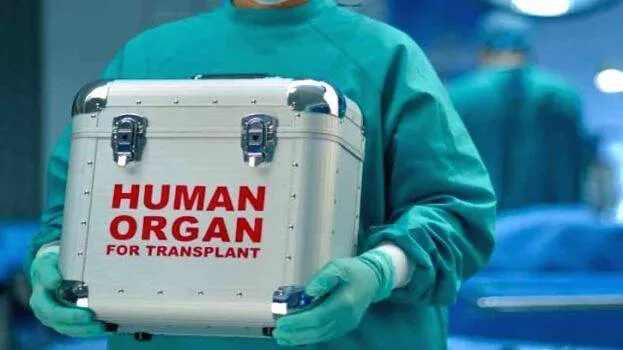 orgon-donation