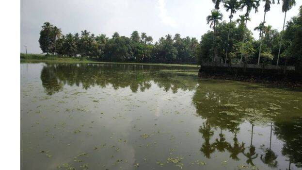 krish-nasam krish-nasam