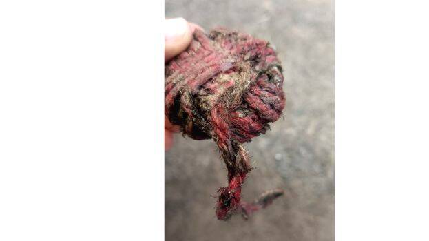 pannippadakamm pannippadakamm