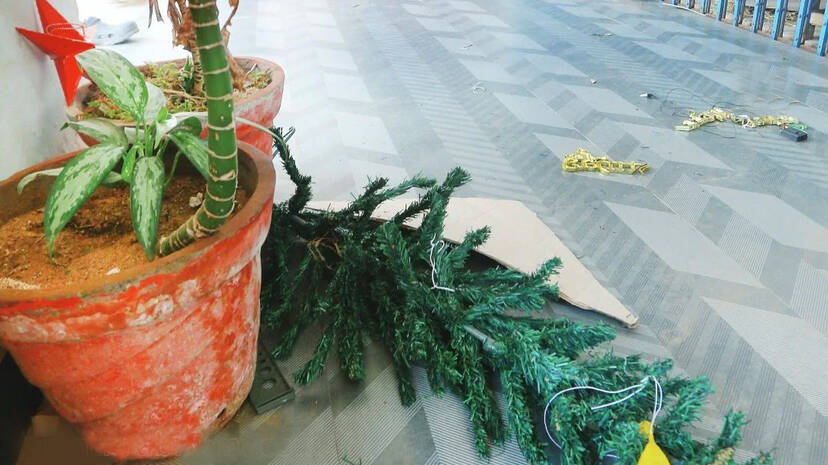 christmas-crib christmas-crib