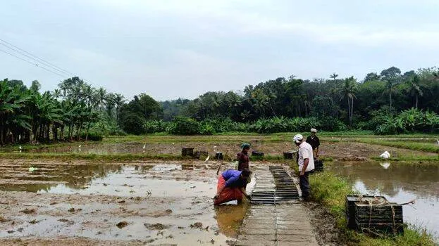 tharishuvayalilkrishi