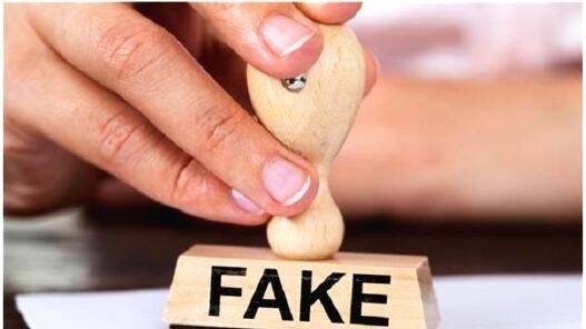 fake fake