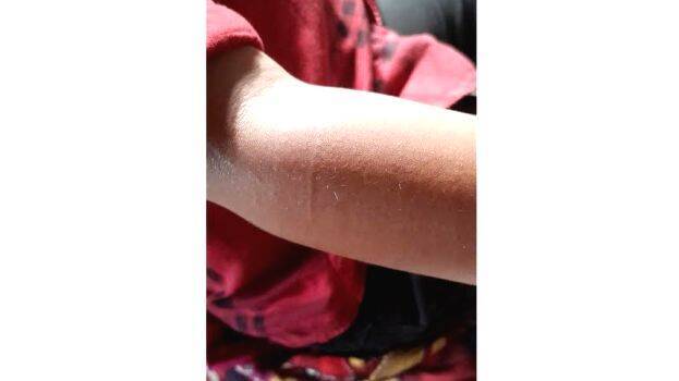 vilappilsala vilappilsala